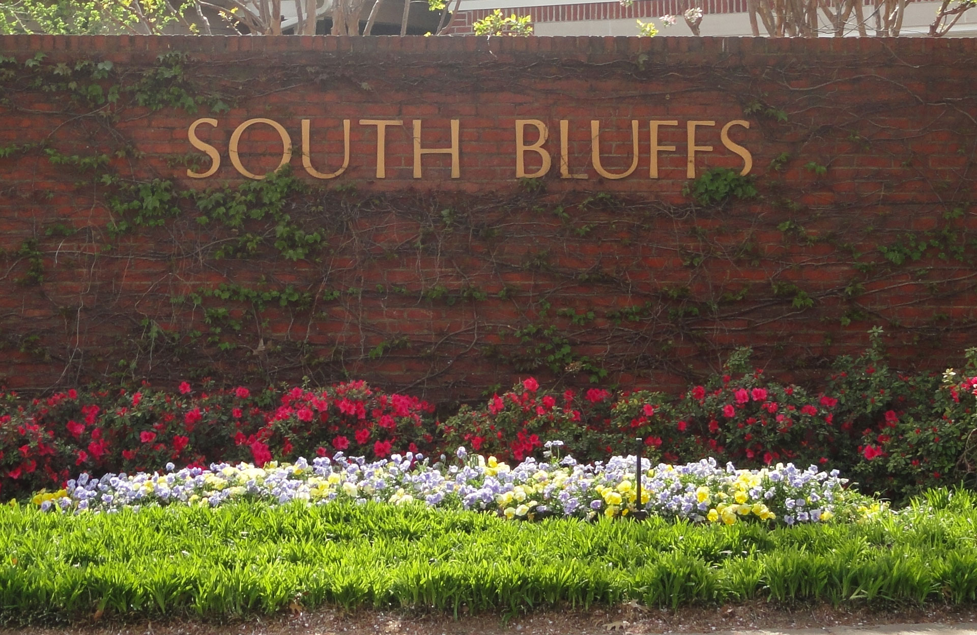 south-bluff-sign
